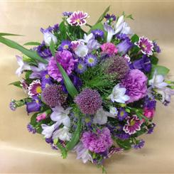 Purple Posy