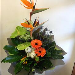 Tropical Paradise Handtied