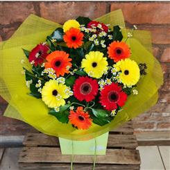 Joyful Gerbera Aqua Pack 