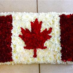 Flag Tribute (options available)