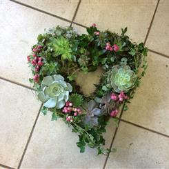 Succulent planted Heart