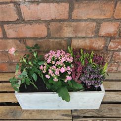 Florist choice planter