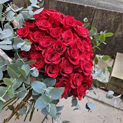 100 Roses