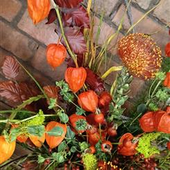 Luxury florist choice autumn arrangement