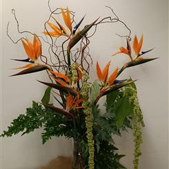 Flower Subscription for your business  (weekly business use only)