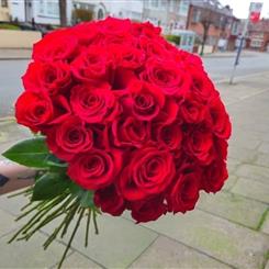 Luxury 80 Roses 