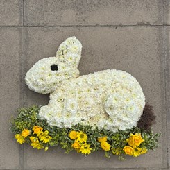Rabbit 