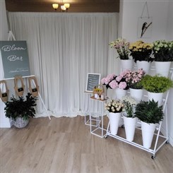 Bloom Bar rental